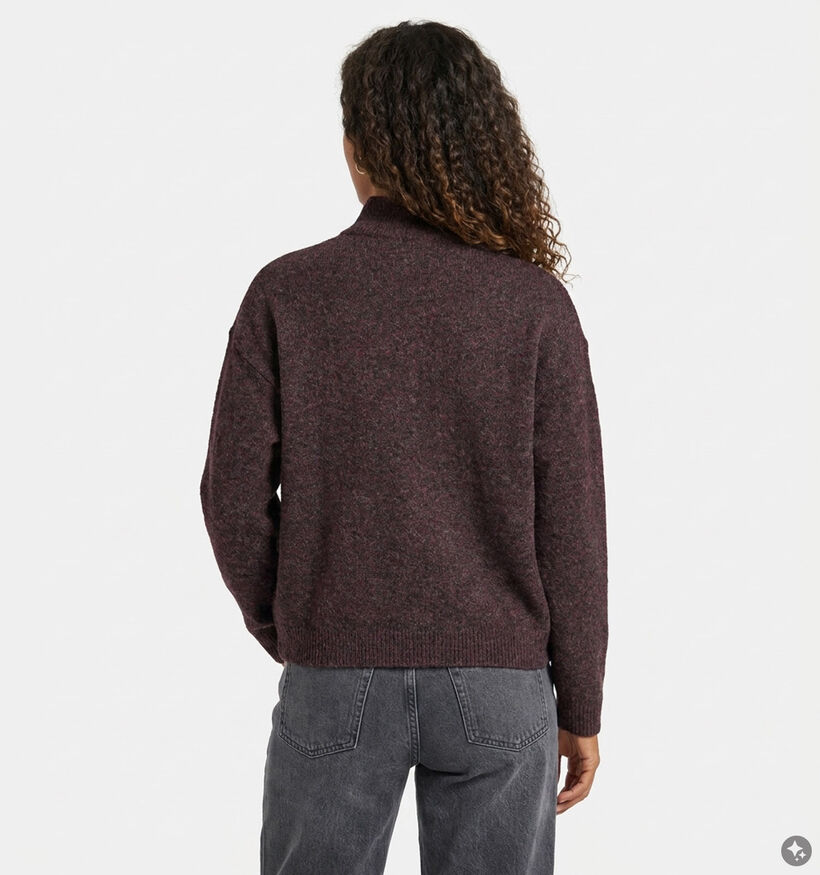 Orfeo Nathanielle Bordeaux Trui voor dames (381661)