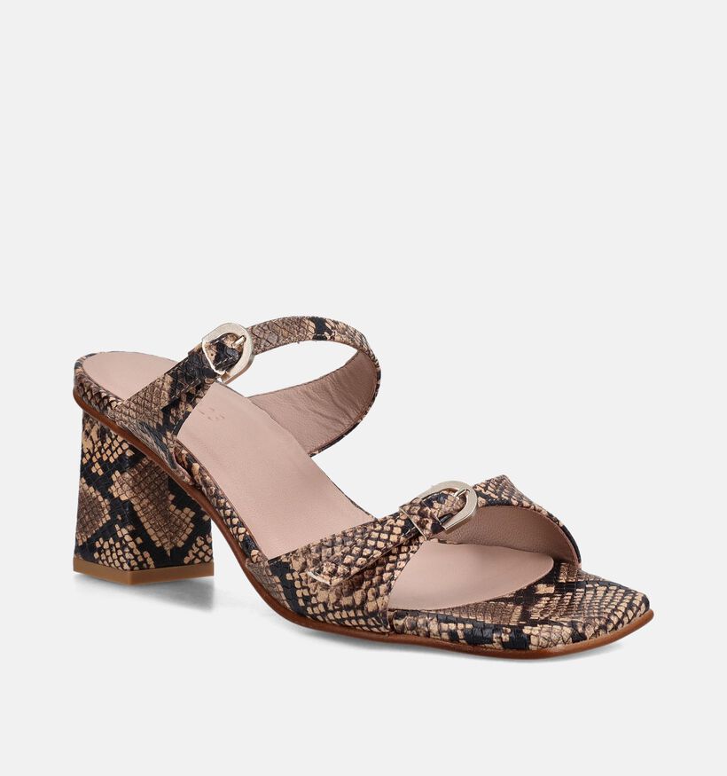 March23 Dani Python Bruine Slippers op hak voor dames (372164)