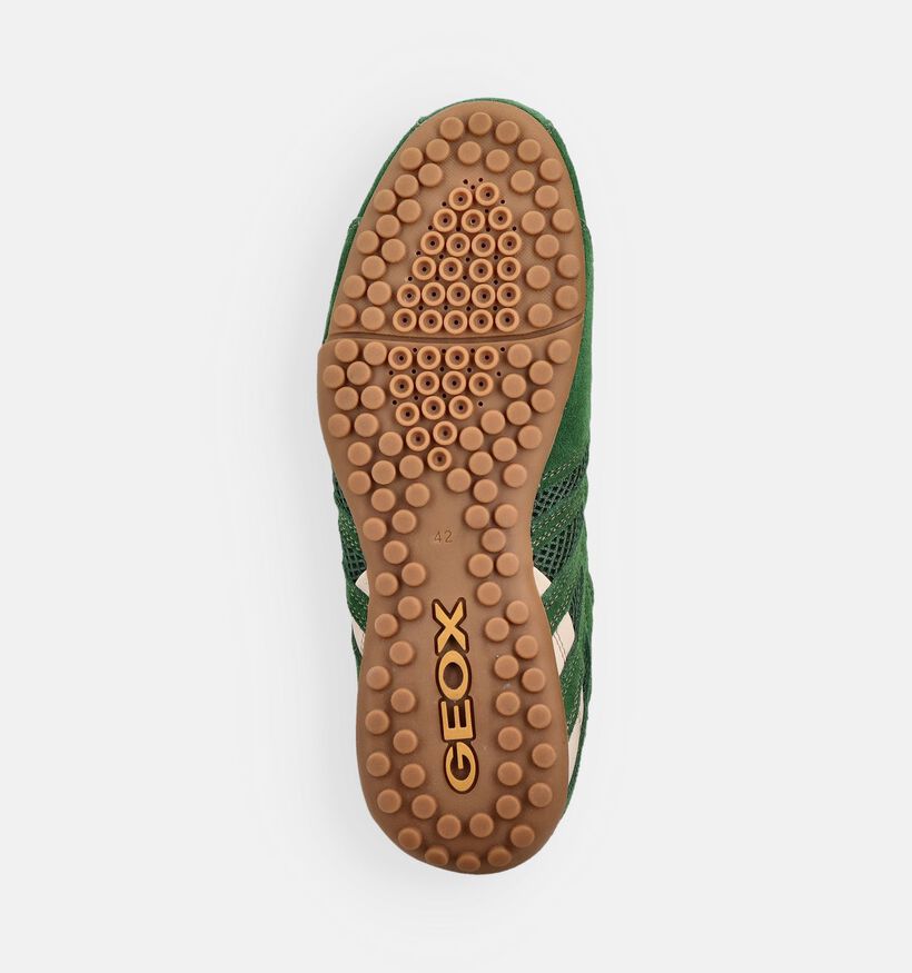 Geox Snake Original Baskets en Vert pour hommes (368030) - pour semelles orthop&eacute;diques