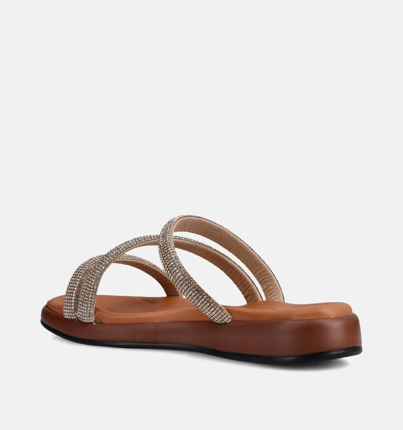 Laurent David Gouden Slippers voor dames (373552)