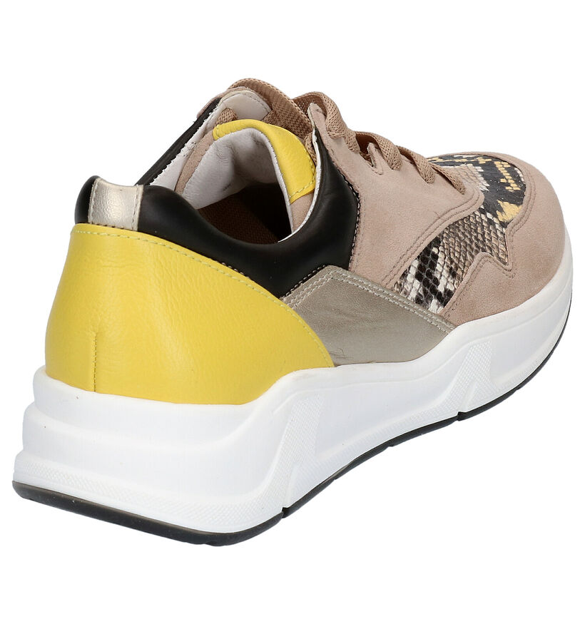 Gabor OptiFit Chaussures à lacets en Taupe en cuir (271542)