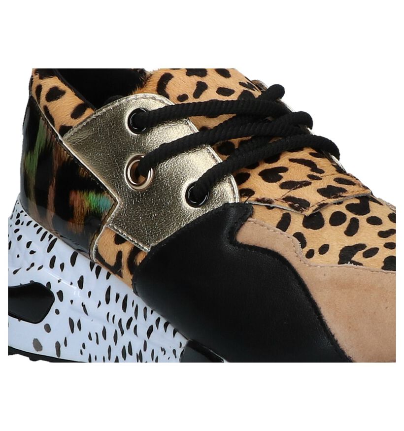 Steve Madden Cliff Baskets Multicolore en daim (252186)