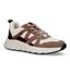 Poelman Baskets casual en Cognac pour femmes (328563) - pour semelles orthopédiques