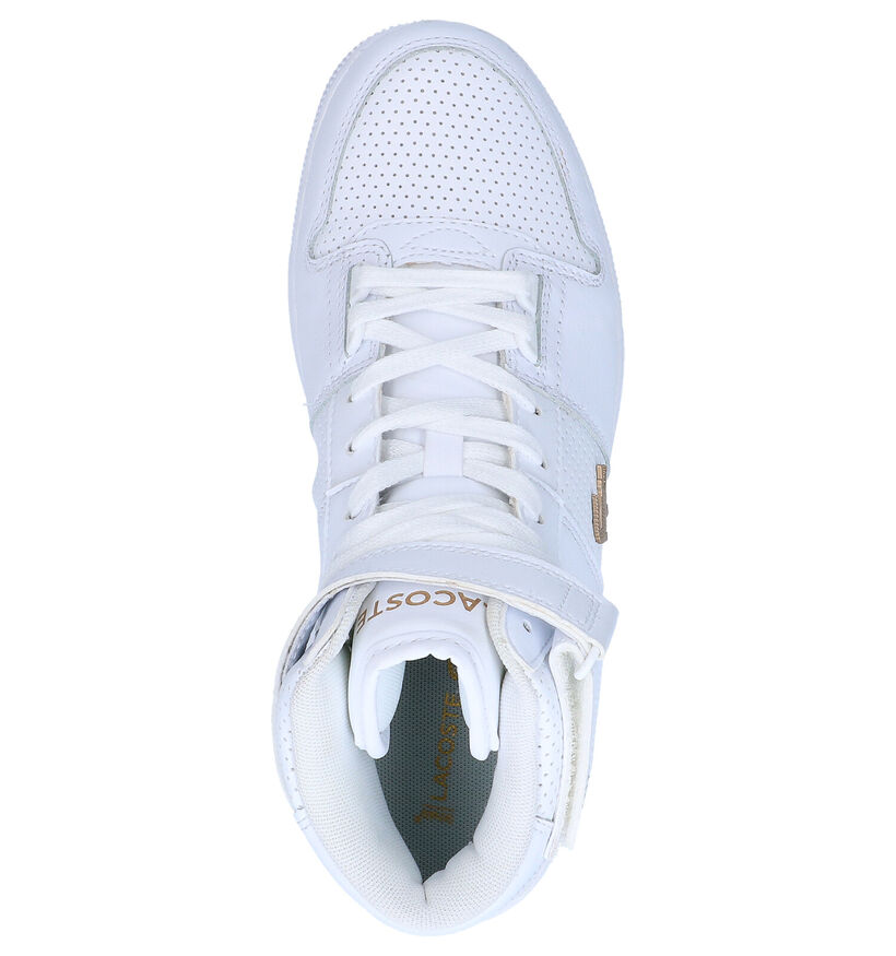 Lacoste Tramline Baskets en Blanc en cuir (266913)