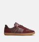Tommy Hilfiger Tribeca Bordeaux Lage Sneakers voor dames (378105) - geschikt voor steunzolen