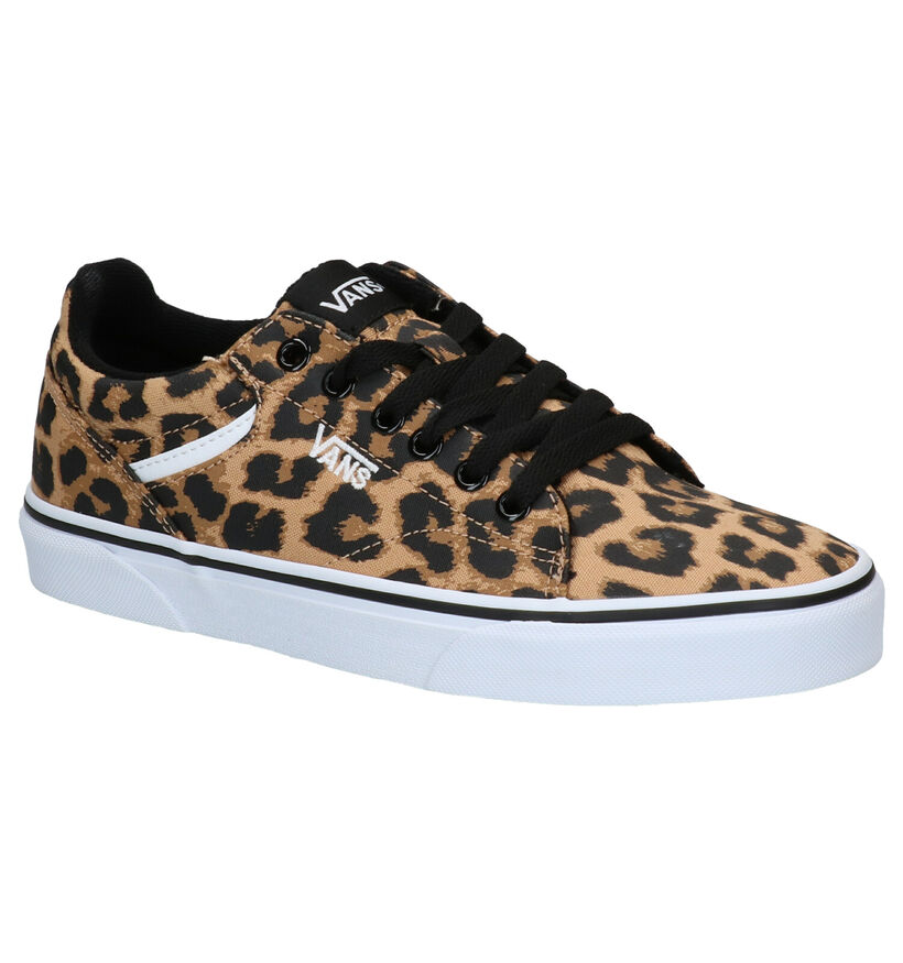 Vans Seldan Baskets en Brun en simili cuir (277597)