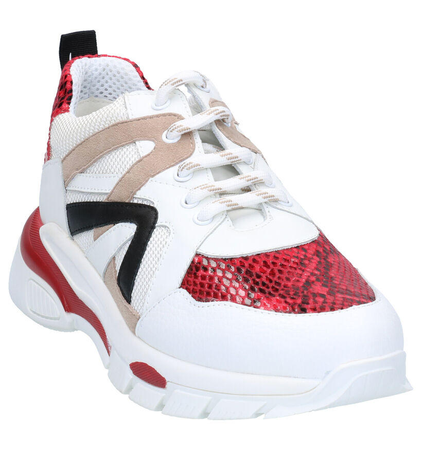 Tosca Blu Magnolia Witte Sneakers in leer (265035)