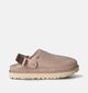 UGG Goldenstar Clog Nu-pieds en Beige pour femmes (352812)