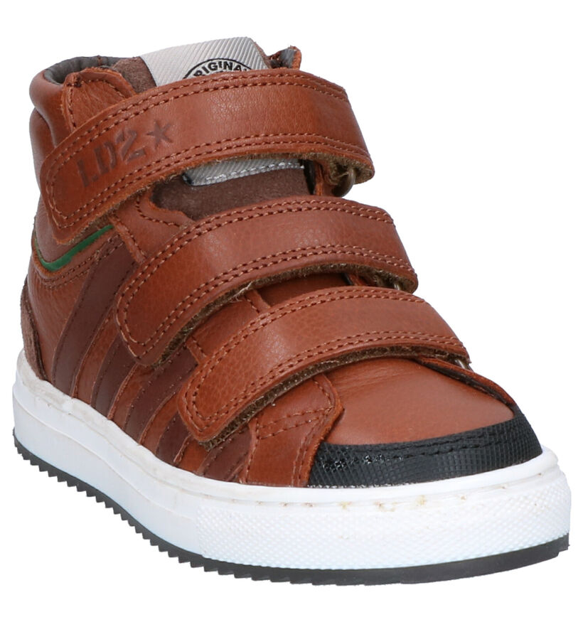 Little David Mario Cognac Hoge Schoenen in leer (261376)