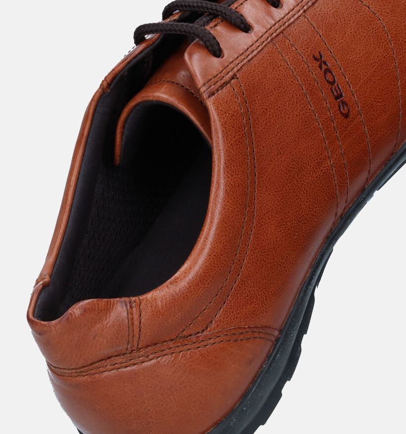 Geox Symbol Cognac Veterschoenen voor heren (317550)