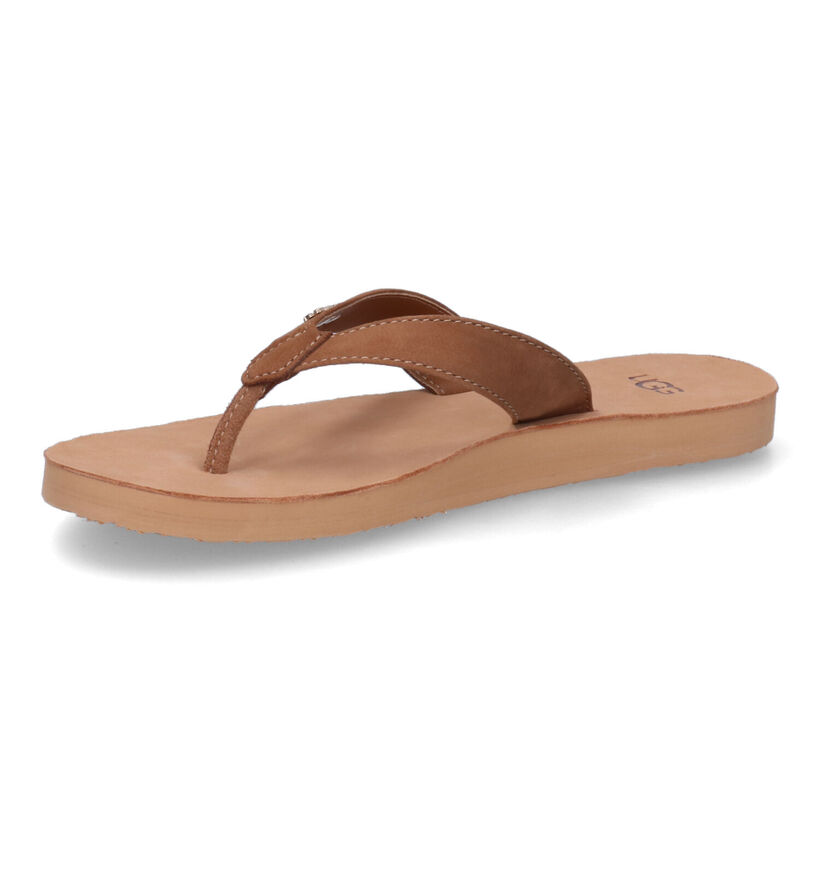 UGG Tawney Logo Cognac Teenslippers in nubuck (303418)