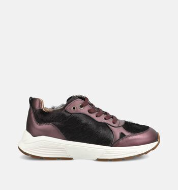 Xsensible Low Sneakers Bordeaux