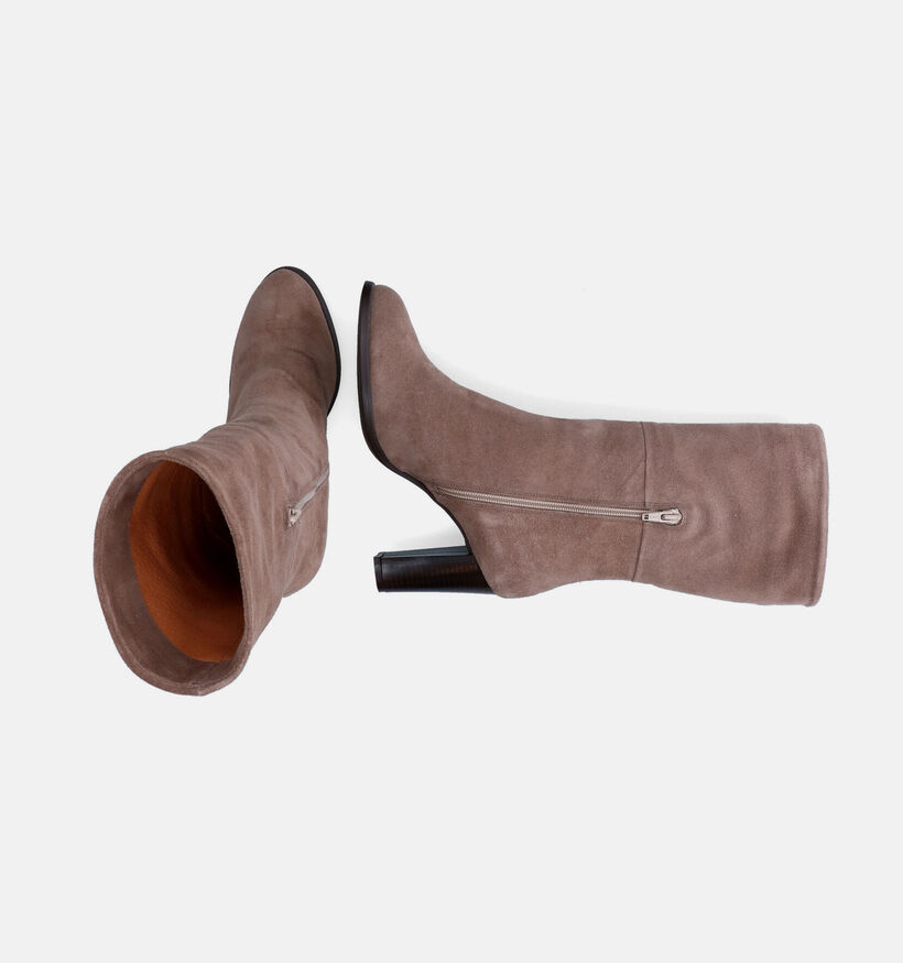 Signatur Bottes courtes en Taupe pour femmes (308203)