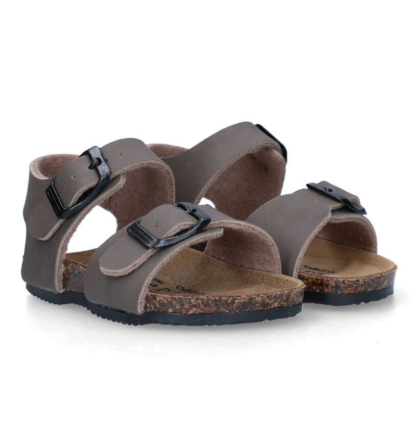 Biomodex Taupe Sandalen in kunstleer (324591)