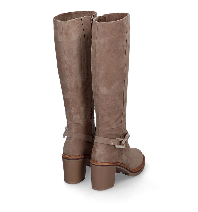 Softwaves Bottes hautes en Beige en daim (316722)