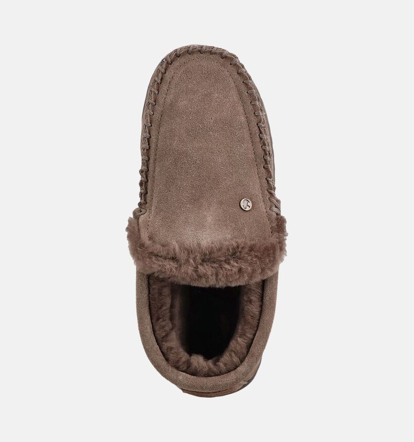 Warmbat Grizzly Pantoufles en Taupe pour hommes (379296)
