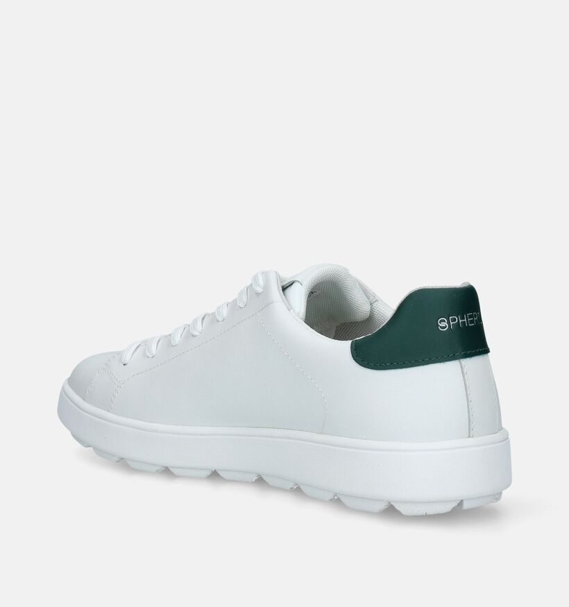 Geox Spherica Witte Veterschoenen voor heren (335681)