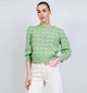 Vero Moda Leonor Stitch Groene Pull voor dames (367151)