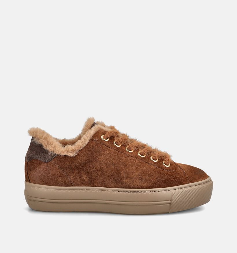 Paul Green Baskets en Marron pour femmes (379785)