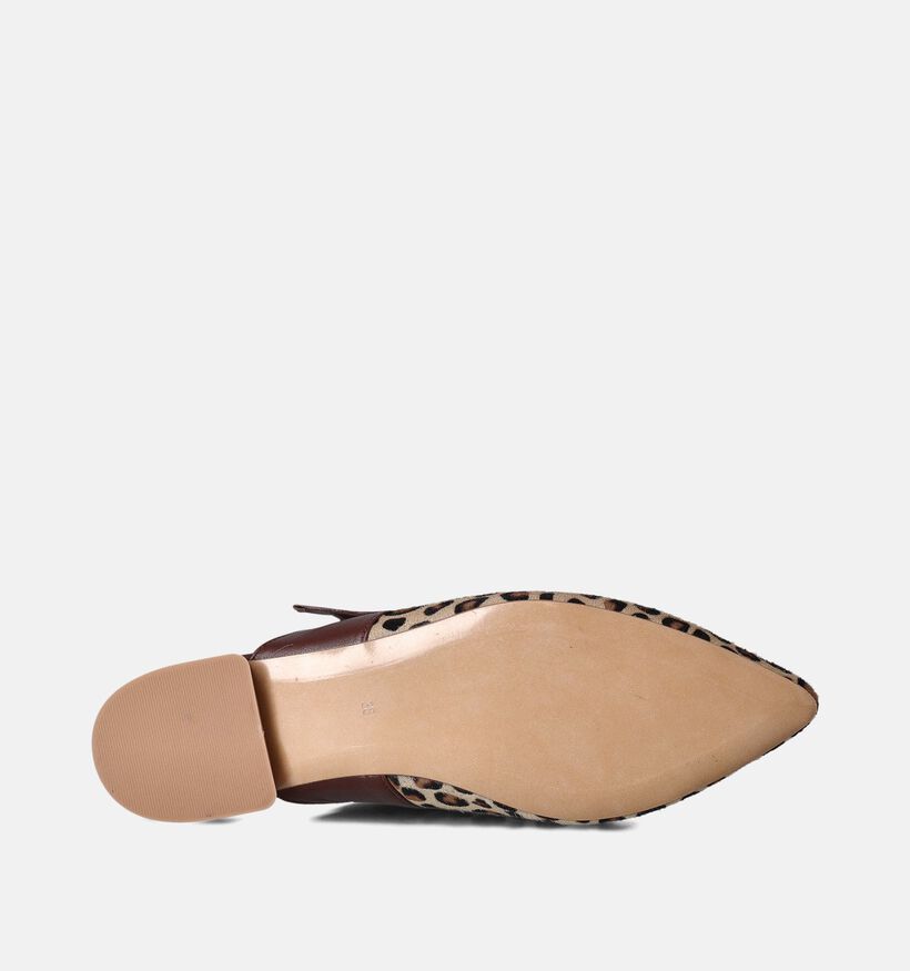 Laurent David Bruine Slippers voor dames (357822)