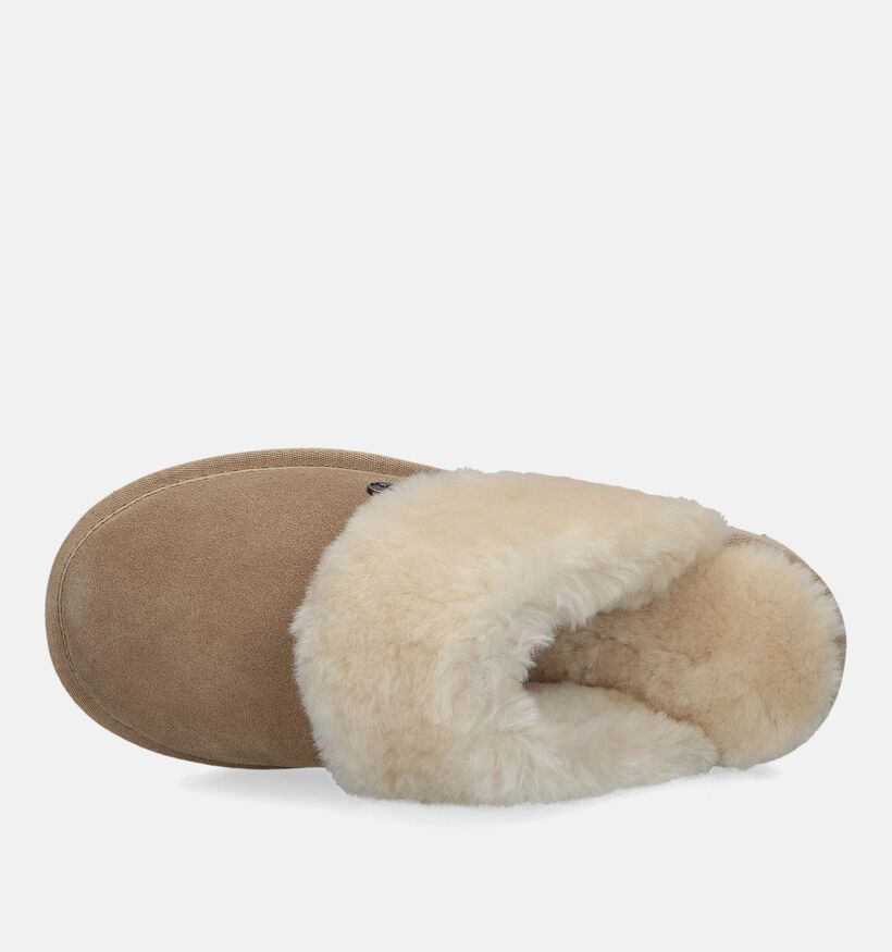 Warmbat Flurry Cognac Wollen Pantoffels voor dames (329908)