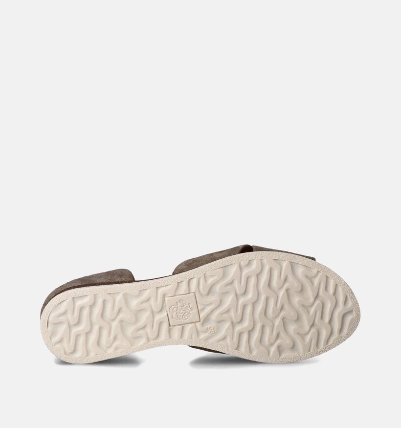 Apple of Eden Chuisi Taupe Sandalen voor dames (356239)