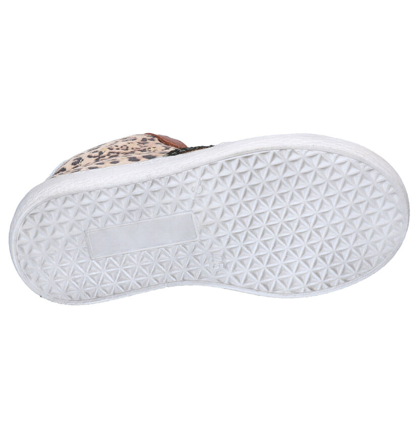 Pinocchio Chaussures hautes en Brun foncé en cuir (281638)