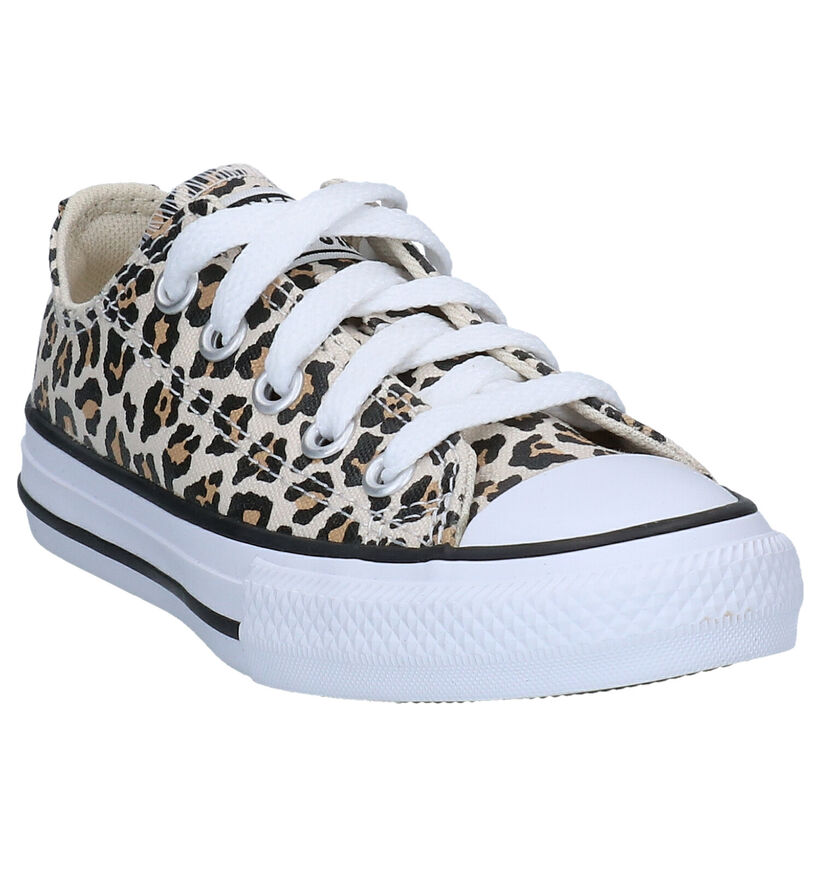 Converse Chuck Taylor AS Leopard Baskets en Beige en textile (286184)