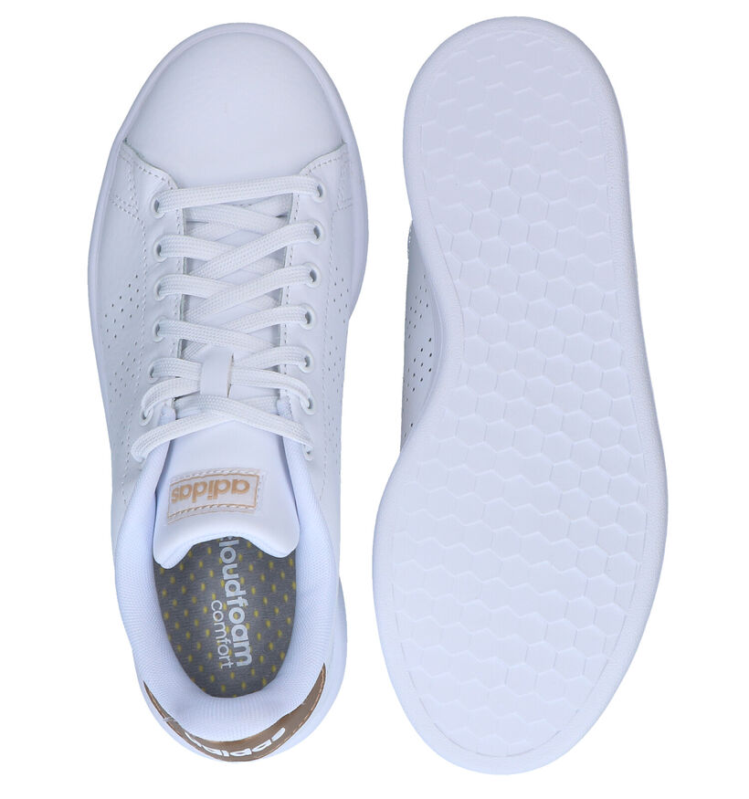 adidas Advantage Baskets en Blanc en cuir (284790)