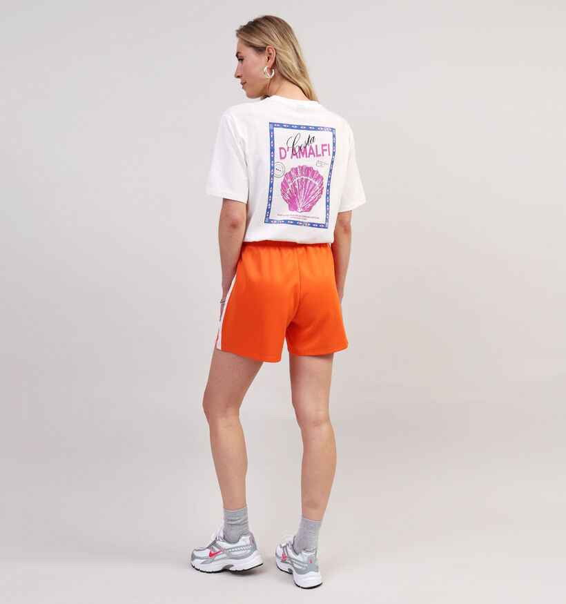 Vero Moda Trine Witte T-shirt voor dames (362211)