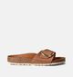 Birkenstock Madrid Big Buckle Nu-pieds en Cognac pour femmes (357608)