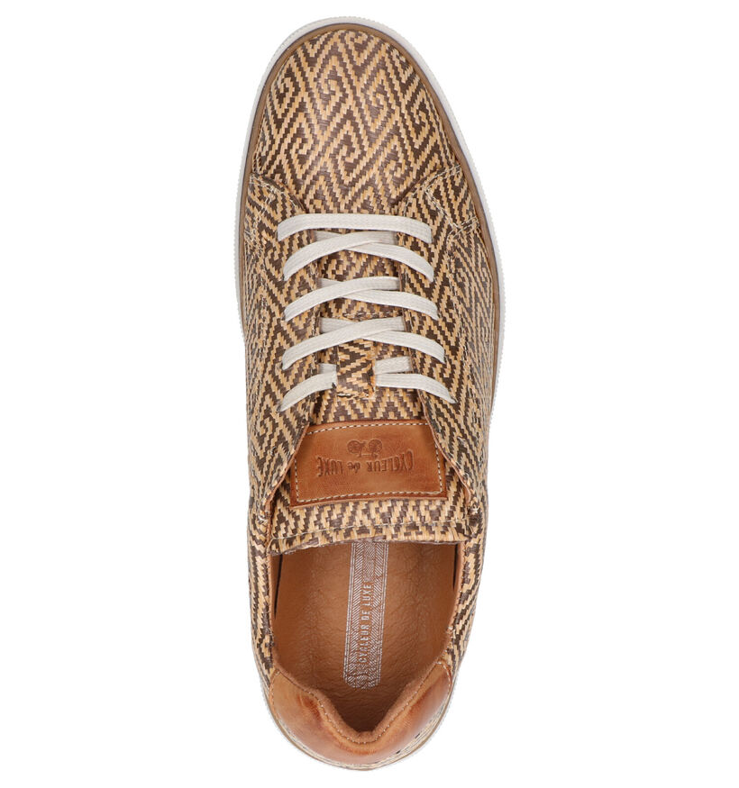 Cycleur de Luxe Beaumont Bruine Veterschoenen in kunststof (272409)