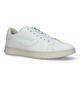 Diesel Athene Low Chaussures à lacets en Blanc pour hommes (320740)