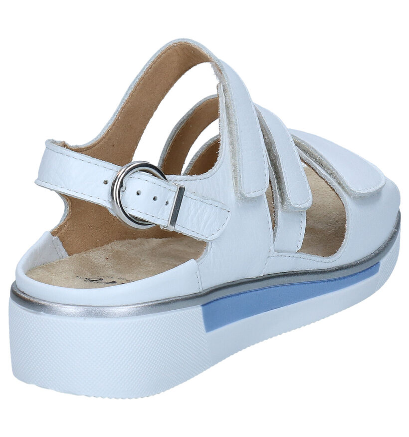 Ara Courtyard Sandales en Blanc en cuir (288967)