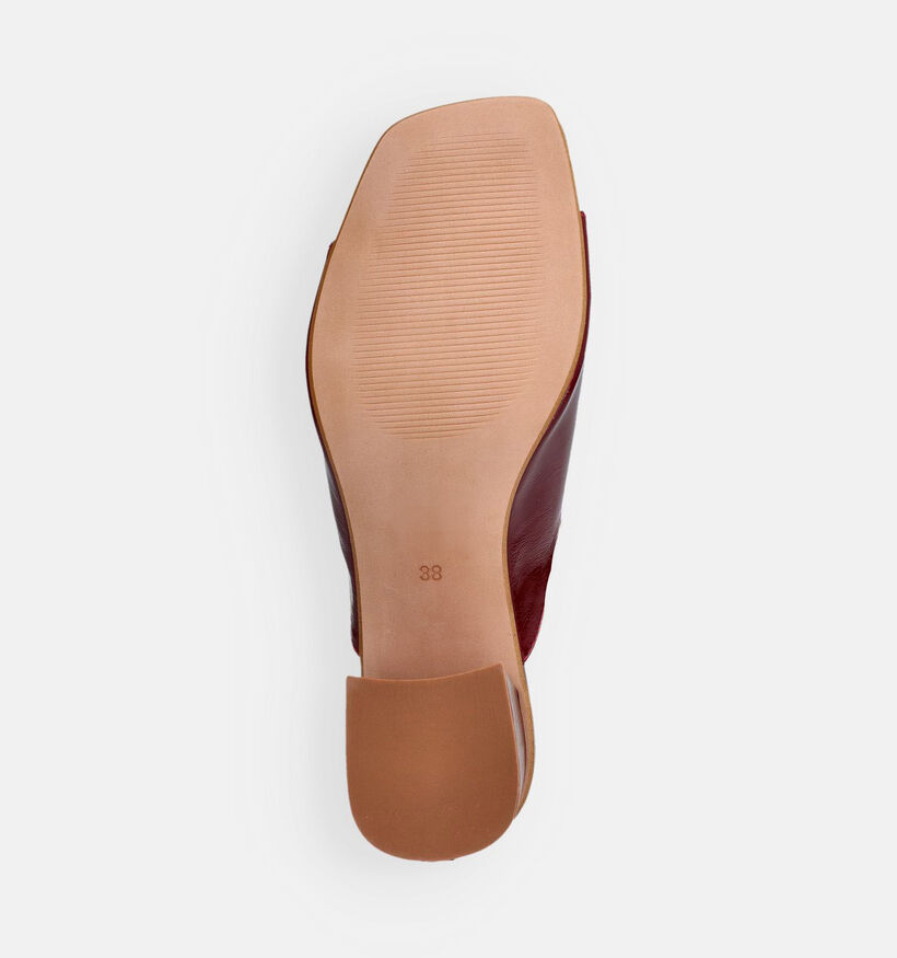 Laurent David Bordeaux Muiltjes voor dames (373550)