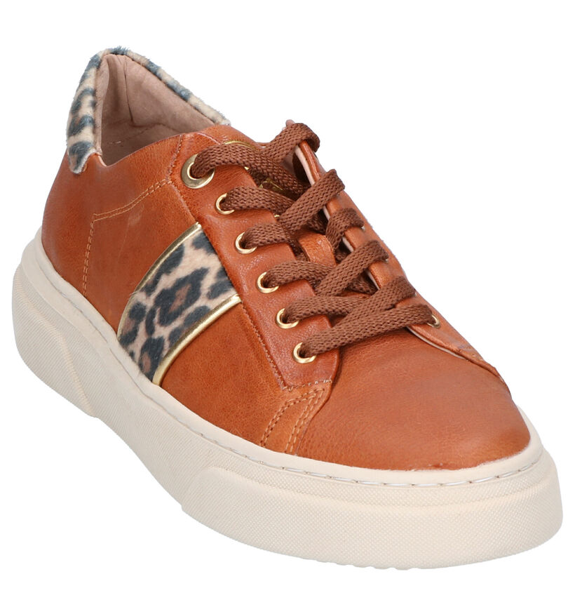 River Woods Cognac Veterschoenen in leer (260285)