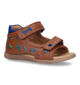 STONES and BONES Sino Cognac Sandalen met dino's voor jongens (322625)