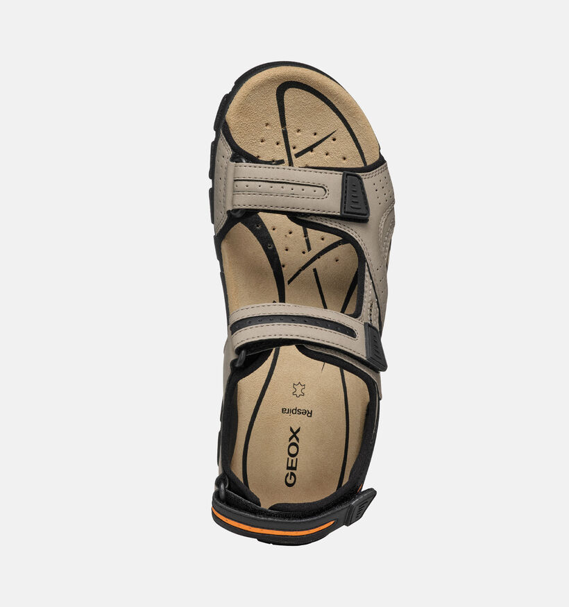 Geox Beige/Zwarte Sandalen voor heren (369122)
