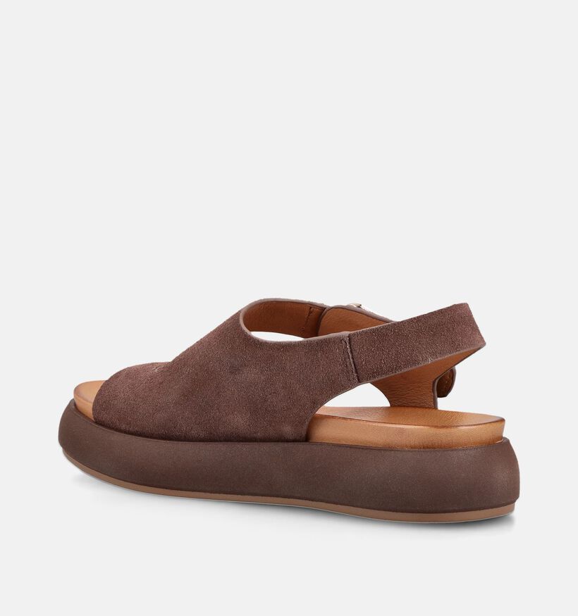 Laurent David Sandales en Marron pour femmes (373614)