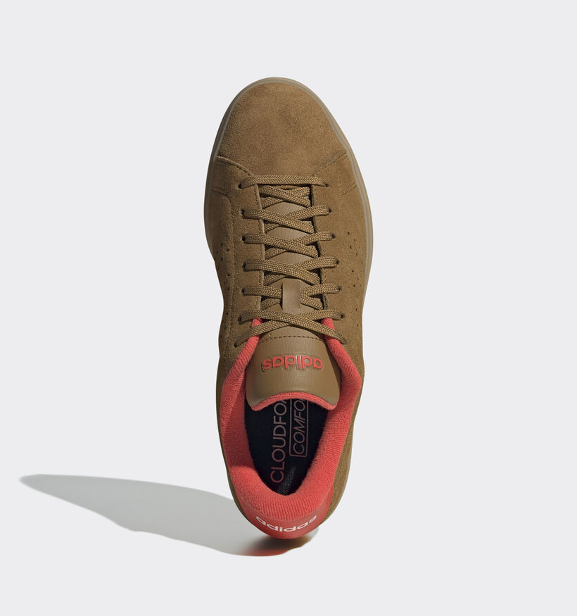 adidas Advantage 2.0 Baskets en Brun pour femmes (343337)