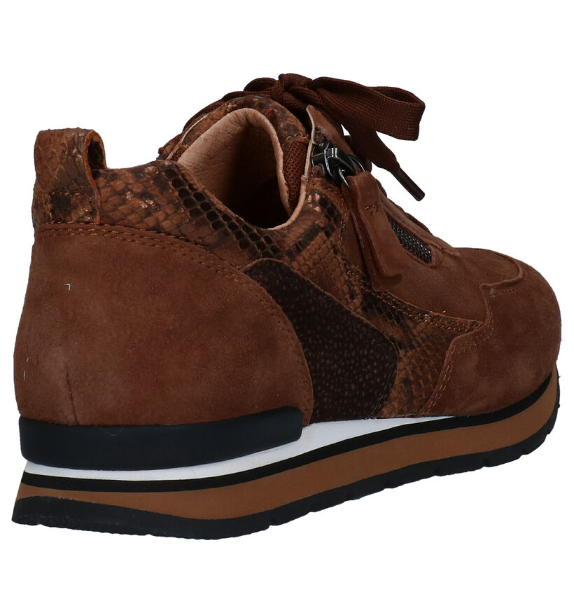 Gabor OptiFit Baskets en Cognac en cuir (282287)