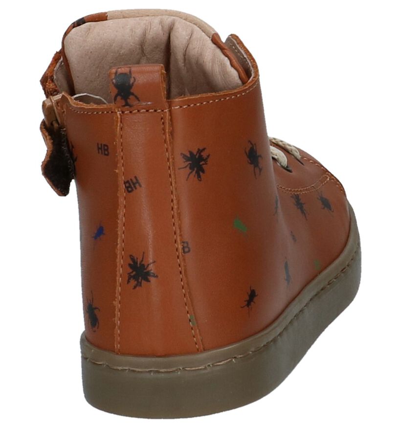 Boots Cognac Hampton Bays in leer (232369)