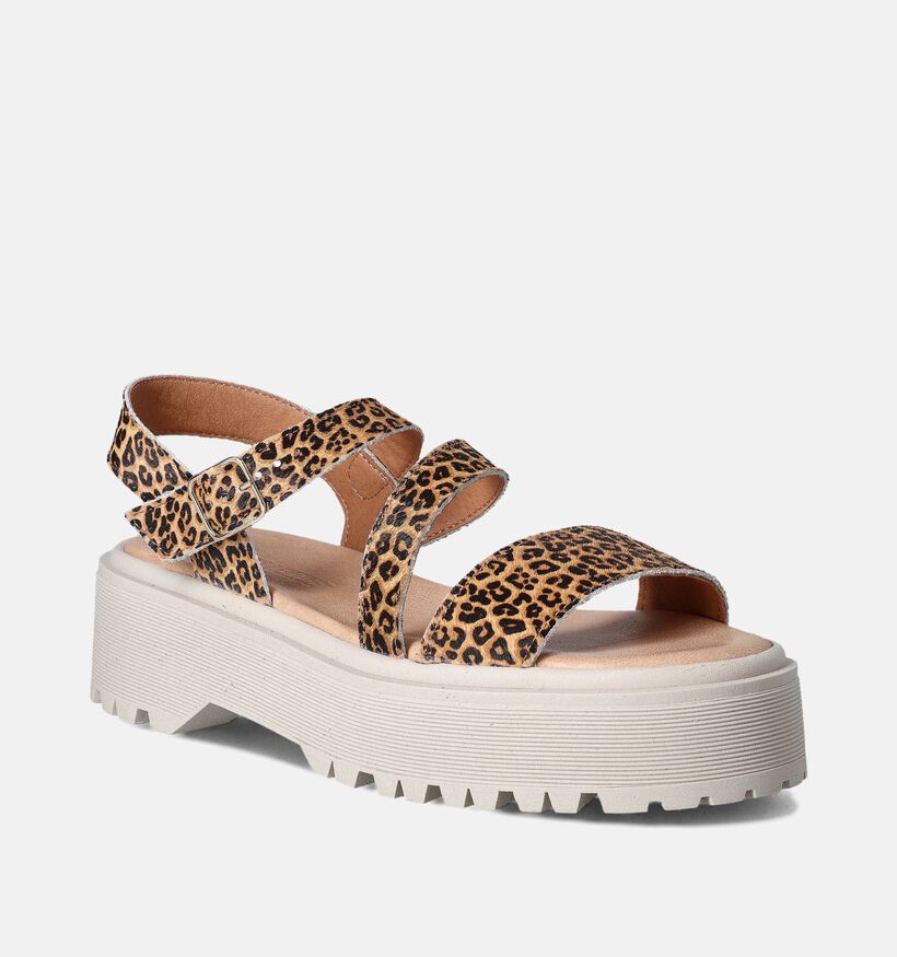 Sweet Lemon L.62.Nacere Sandales en Brun pour femmes (361382)