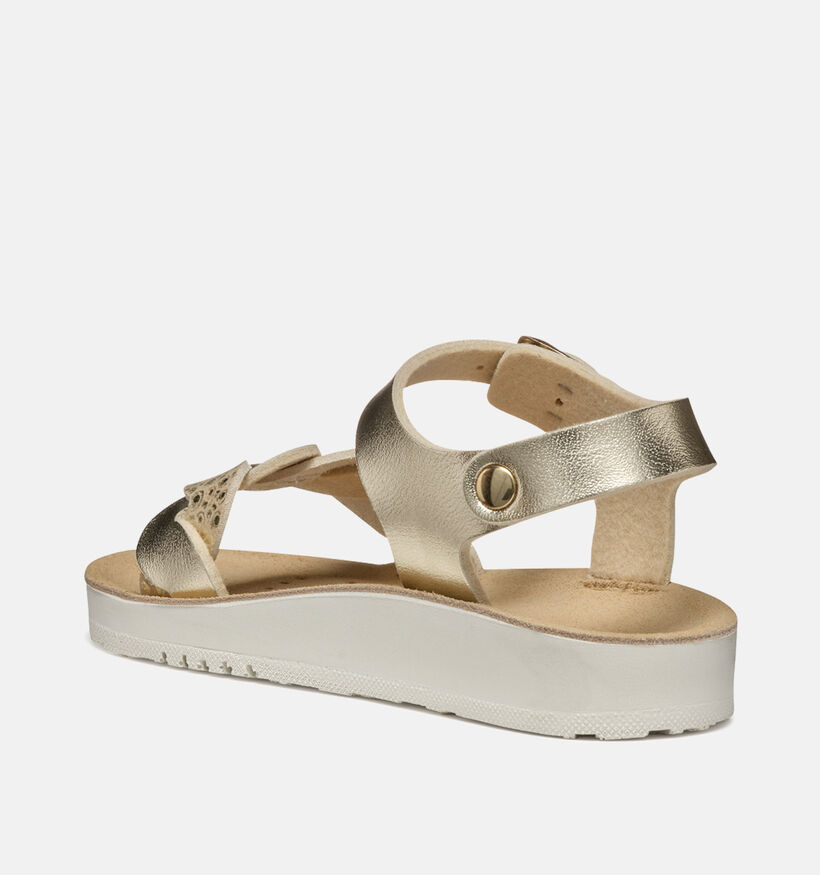 Geox Costarei Gouden Sandalen voor meisjes (356425)