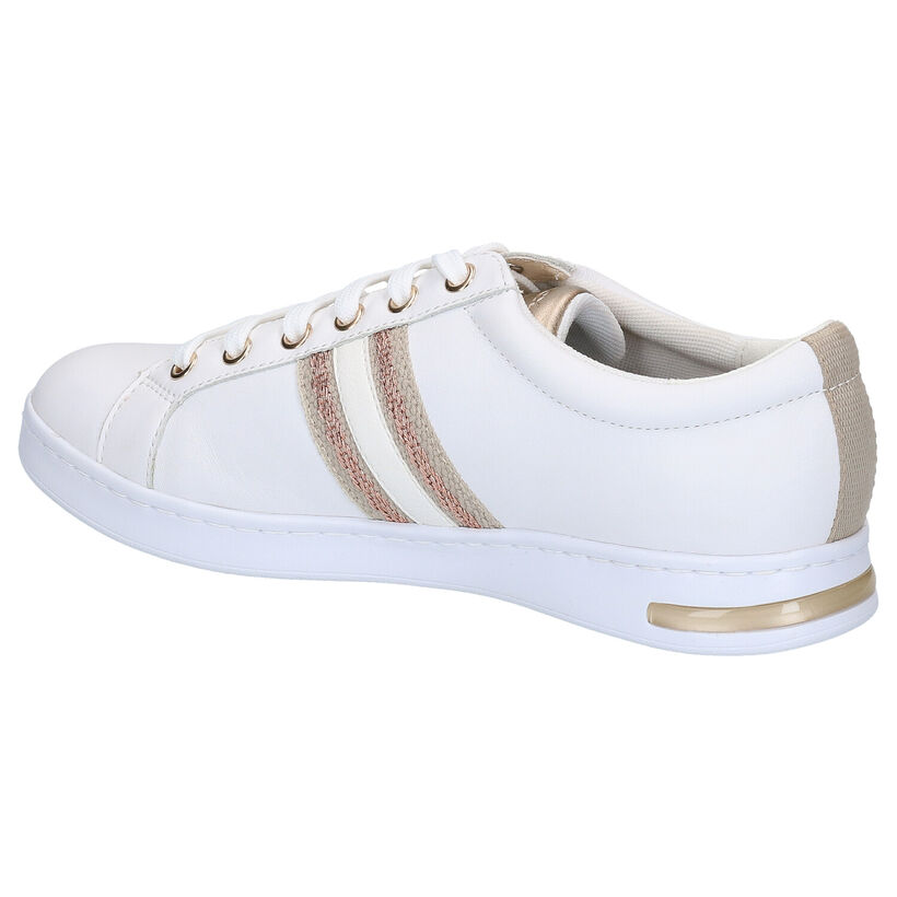 Geox Jaysen Chaussures à Lacets en Blanc en textile (285581)