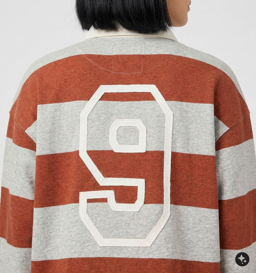 The Shirt Project Grijze/Rode Sweater voor dames (381897)