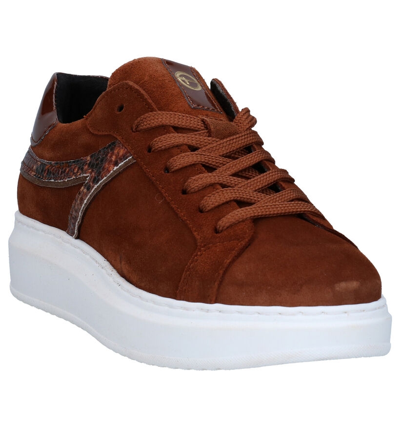 Tamaris TOUCH it Baskets en Brun en nubuck (280772)