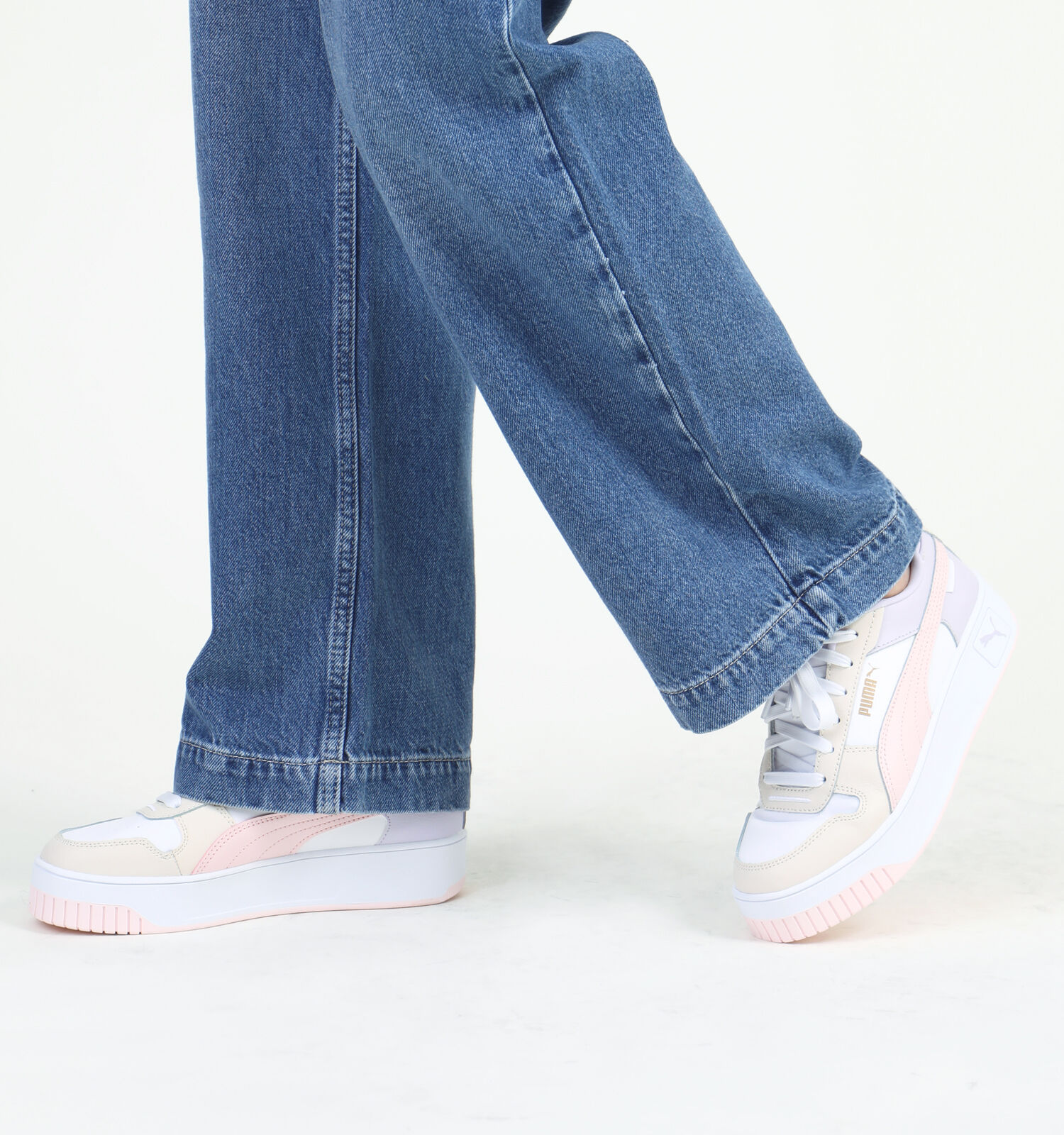 Puma carina pastel online