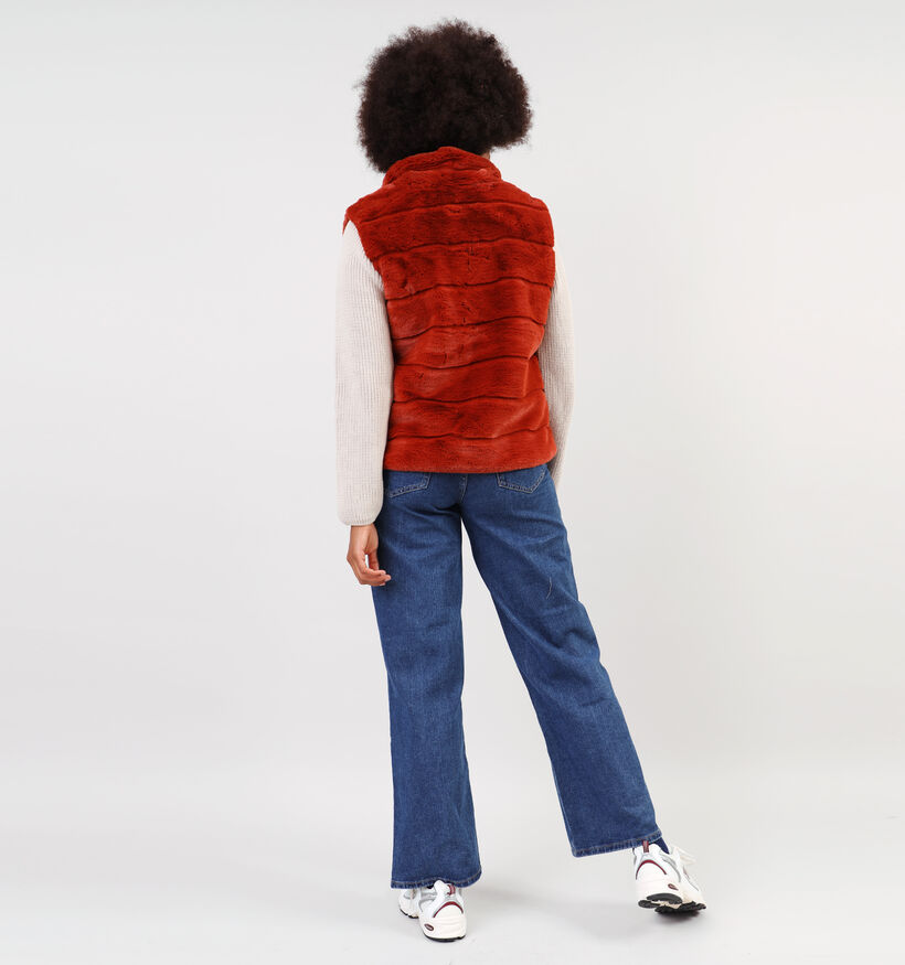Dolce C. Zwarte Korte fluffy bodywarmer voor dames (358478)
