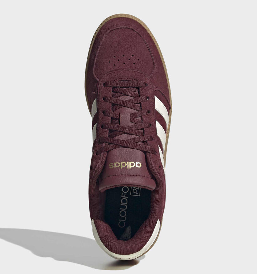adidas Breaknet Sleek Bordeaux Sneakers voor dames (375336)
